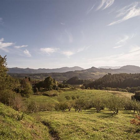 ホテル Casa Rural Madariaga Artea エクステリア 写真