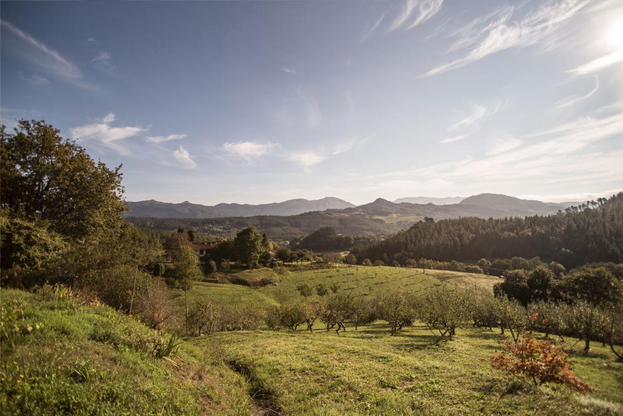 ホテル Casa Rural Madariaga Artea エクステリア 写真