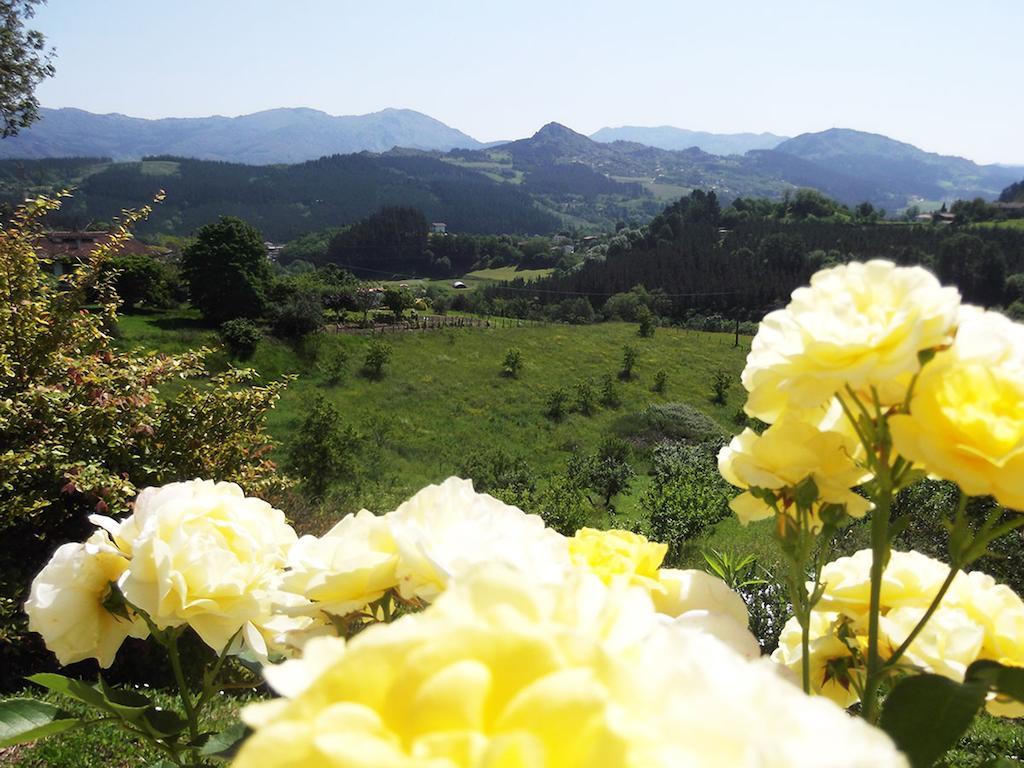 ホテル Casa Rural Madariaga Artea エクステリア 写真